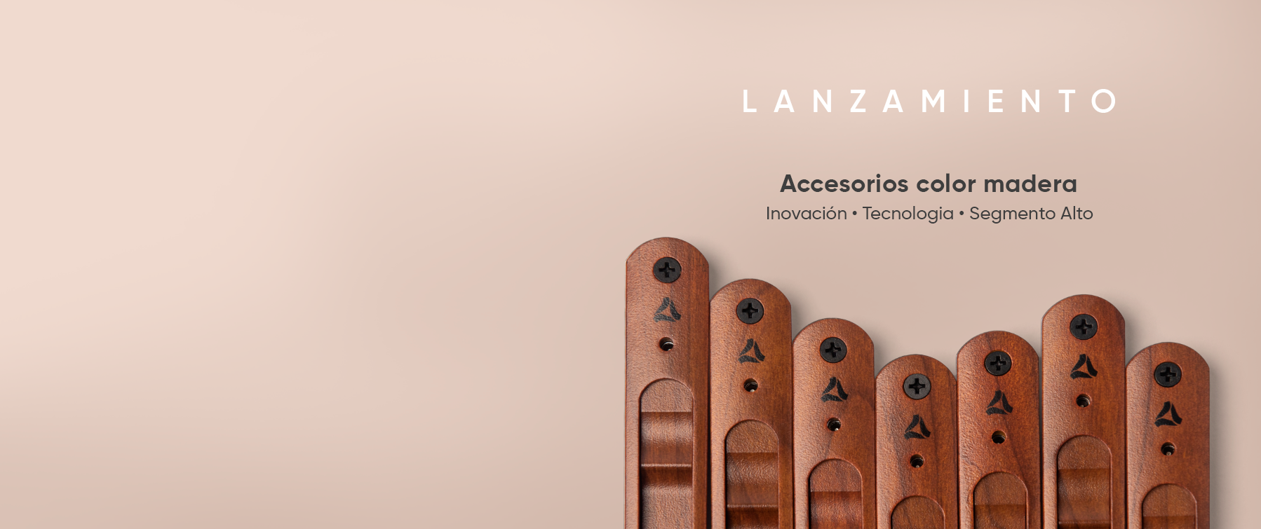 Lanzamiento