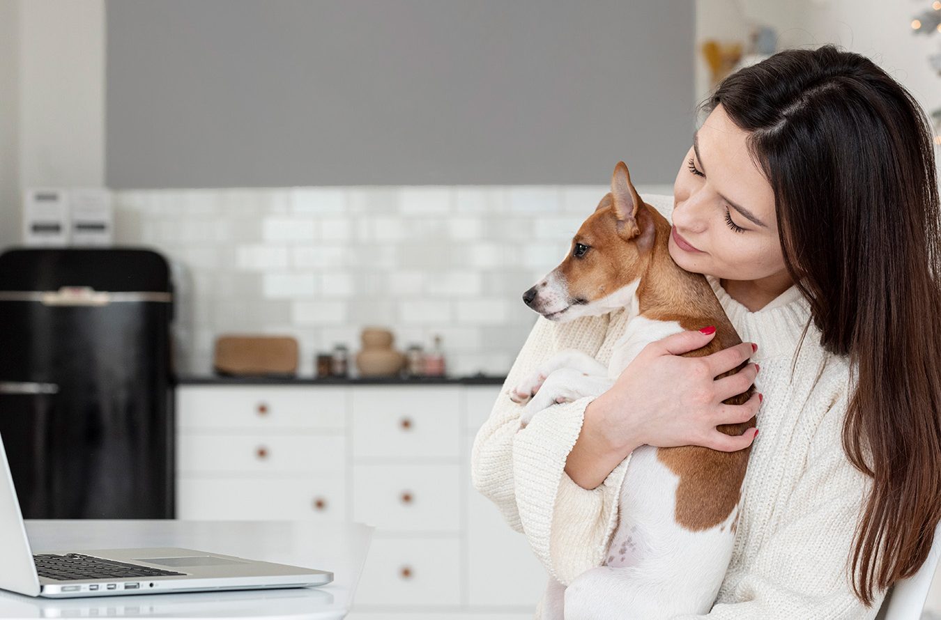 Móveis pet friendly: como os perfis de alumínio ajudam a criar projetos seguros e duráveis