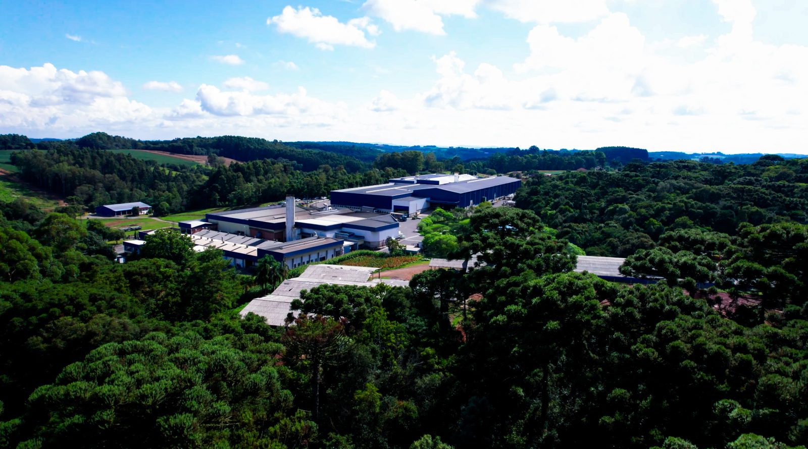 ISO 14001: nosso compromisso com a sustentabilidade